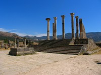 forum