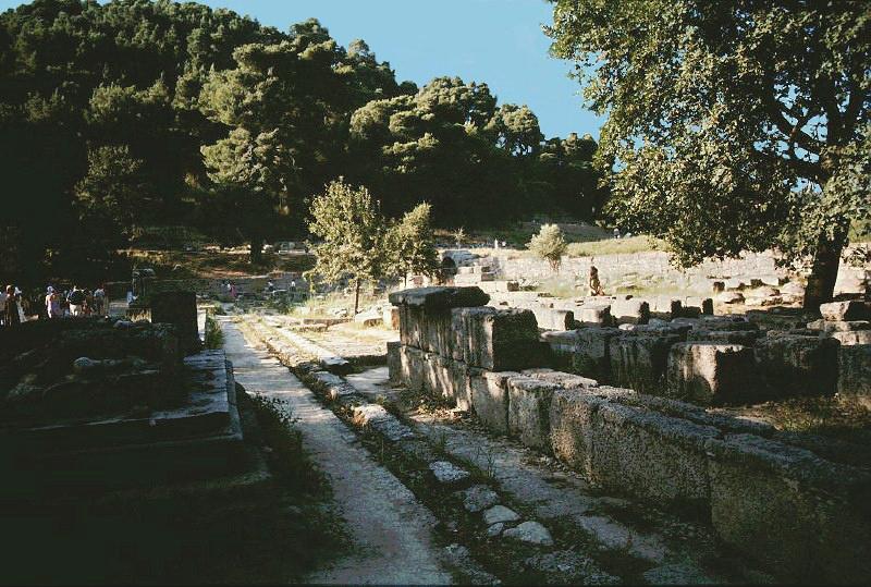Echohal