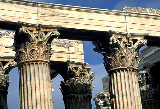 acanthus